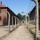 Auschwitz/Birkenau - para além do impensável